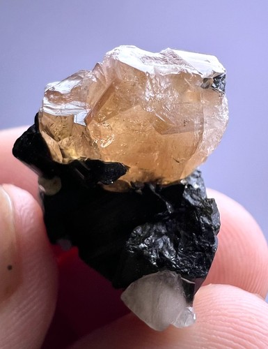 33 CT. Honey Color Topaz Crystal On Black Tourmaline - PAK