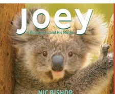 Joey: A Baby Koala and His Mother by Nic Bishop: Used