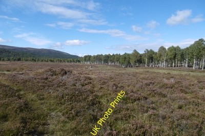 Photo 6x4 Muir of Dinnet Although shown as woodland on current maps, ther c2016