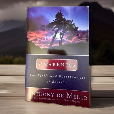 Awareness : The Perils and Opportunities of Reality by Anthony De Mello 1990 Pap