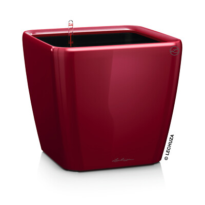 LECHUZA QUADRO Premium LS 21 Komplettset scarlet rot hochglanz
