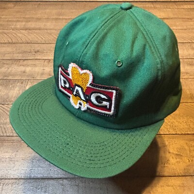 NWT VTG P.A.G. Seed Corn Embroidered Patch Green Trucker Hat Snapback