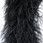 Foto 12 di 36