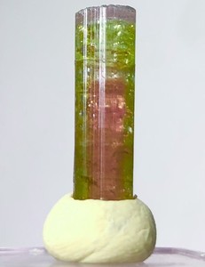 Very Rare Purple Cap Orange Watermelon Tourmaline Crystal Raw Natural Specimen