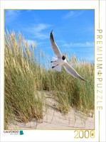 Calvendo Puzzle Seeschwalbe 2000 Teile Puzzle Hoch | 2000 Teile Lege-GrößE 90X67