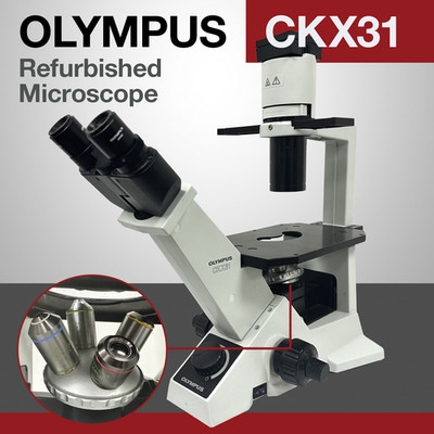 Olympus CKX31 Inverted Microscope with Objectives, and Warranty