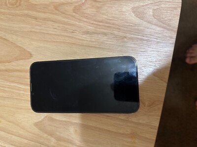 Apple iPhone 13 Pro Max - 256 GB - Gray (Verizon) with the tik tok app on it 