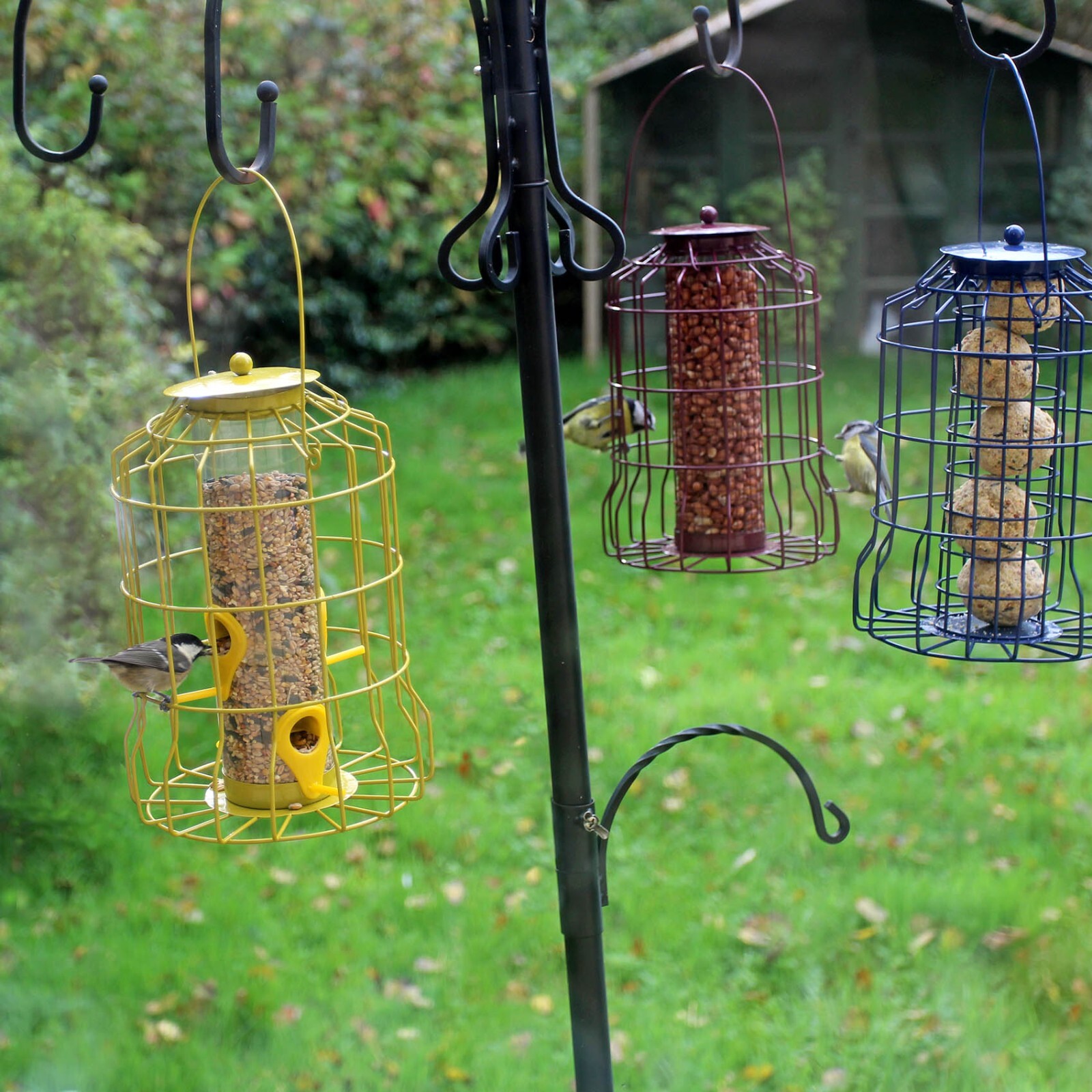 Wild Bird Feeder 3pcs Seed Nut Fat Ball Metal Hanging Squirrel Proof Guard Cage - Image 2