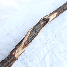 58" Diamond Willow Carving Wood Blank Walking Stick Trekking Staff