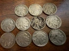 buffalo nickels lot of 11 mixed dates