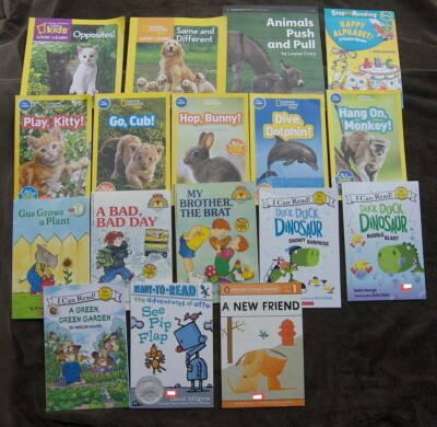 18 Pre-Reader Pre-K Same Different Opposite Animals Dinosaur Phonics Flash Cards