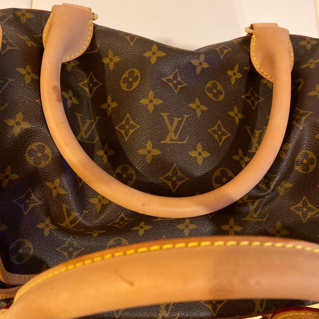 Louis Vuitton Dog Bag 40 Cm -  Israel