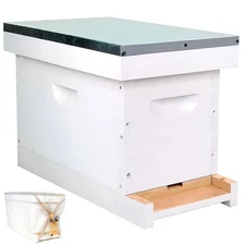 5 Frame Langstroth Nuc Beehive with Mesh Transport Bag, Hand Painted Bee Hive Nu