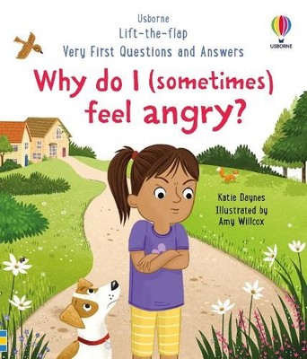 Katie Daynes Very First Questions and Answers: Why do I (sometimes) (Kartonbuch)