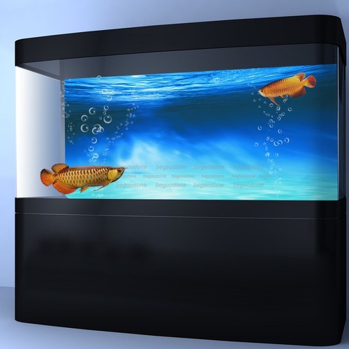 fish tank back screen