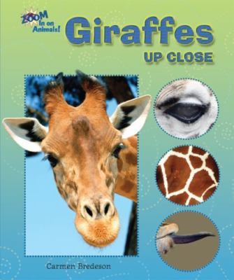 Giraffes Up Close (Zoom in on Animals!) by Carmen Bredeson