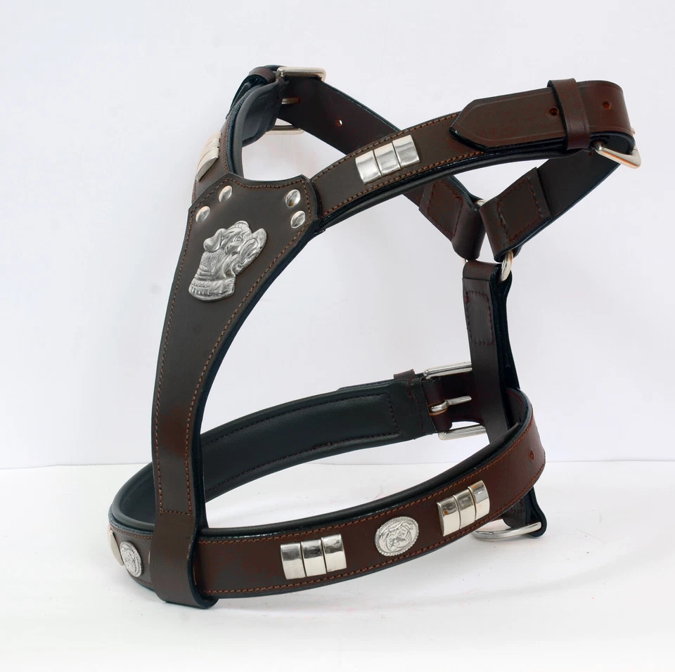 DOG LEATHER HARNESS STAFFY  MOTIFF FULLY PADDED CHROME FITTING IN 6 COLOUR - Image 3 of 4
