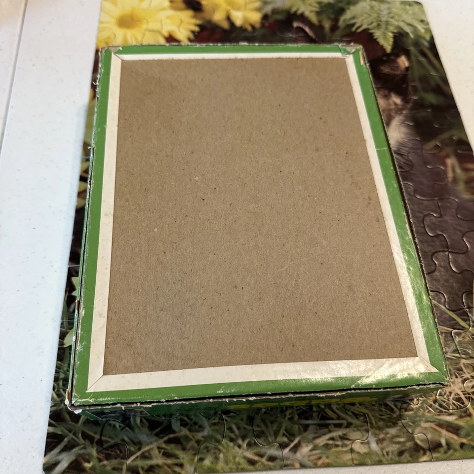 Rompecabezas vintage Babes Curios Kittens 63 piezas 11,5” X 15” completo Foto 2 de 4