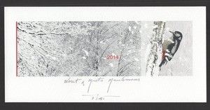 EXLIBRIS,201 - PF - Martin Baeyens, Buntspecht