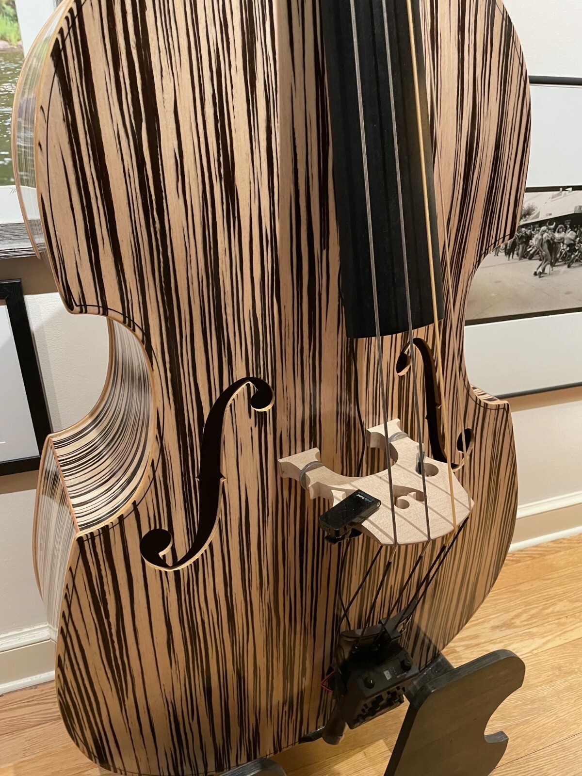 Strunal Upright Bass eBay