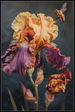 Bumblebee and Iris - Chart Cross Stitch Patterns Needleworks DIY DMC Color 14 ct