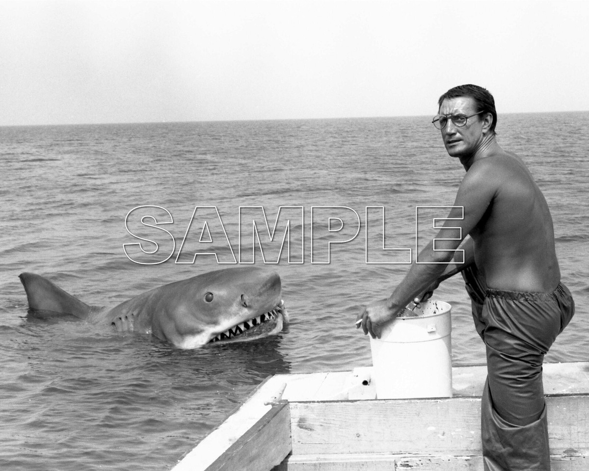 JAWS 8X10 Photo 76 ROY SCHEIDER 