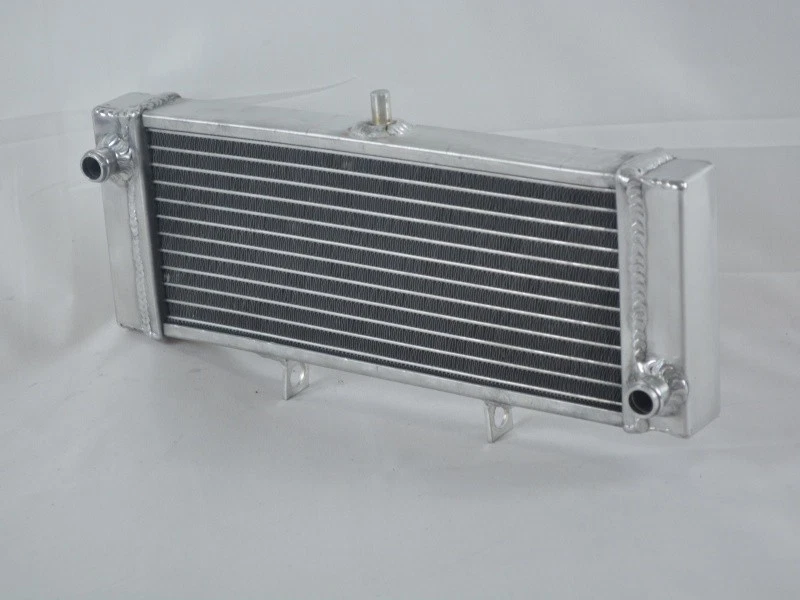 Radiador completo de aluminio para Aprilia RS50 2006 2007 2008 2009 2010 réplica Foto 3 de 4