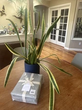 NWT- The Citizenry STONEWASHED ORGANIC COTTON PERCALE Sheet Set Queen MSRP $189