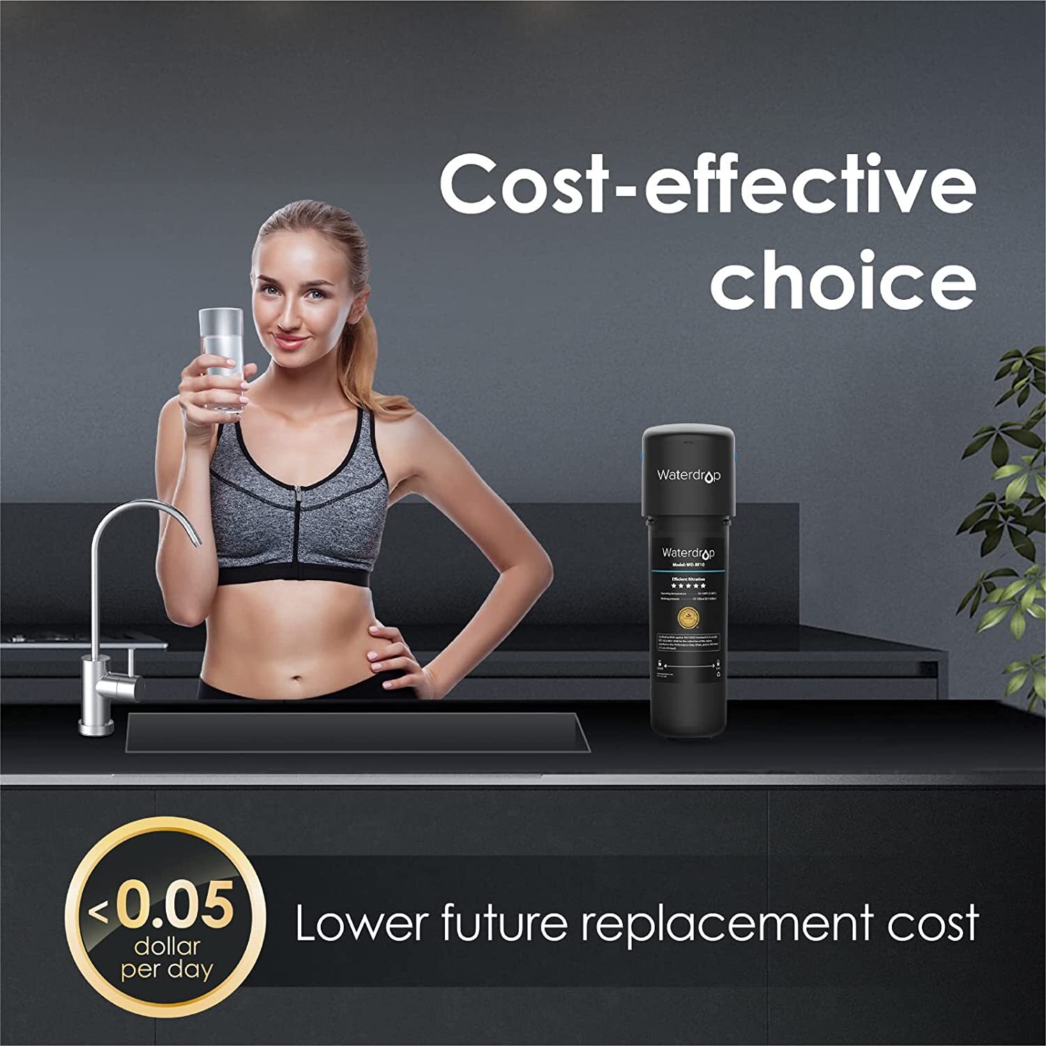 Aqualine 5 l ABS basisch water filter en alkaline AQV filter kopen