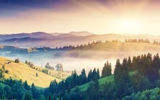 Landscape mist trees forest mountains Custom Gaming Mat Desk