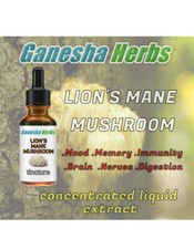 LION'S MANE MUSHROOM High Potency 20x Extract Liquid Tincture 2 ounces