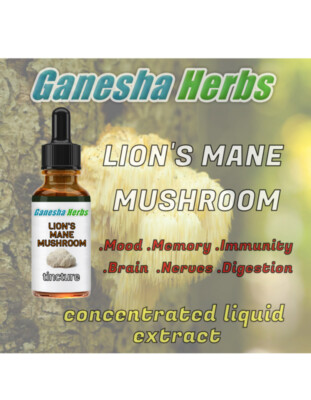 LION'S MANE MUSHROOM  High Potency 20x Extract  Liquid Tincture 2 ounces!