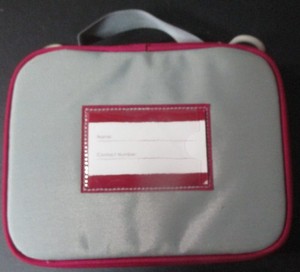 Lunch Bag, Brand New, Insulated