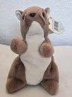 - "Nuts" the Squirrel - Ty Beanie Baby (1996) - Vintage Plush Toy