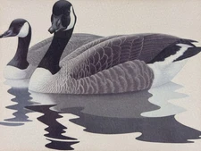 Wildlife Framed Matted Fine Art Print, Richard Sloan, Rare Vintage Art Gifts