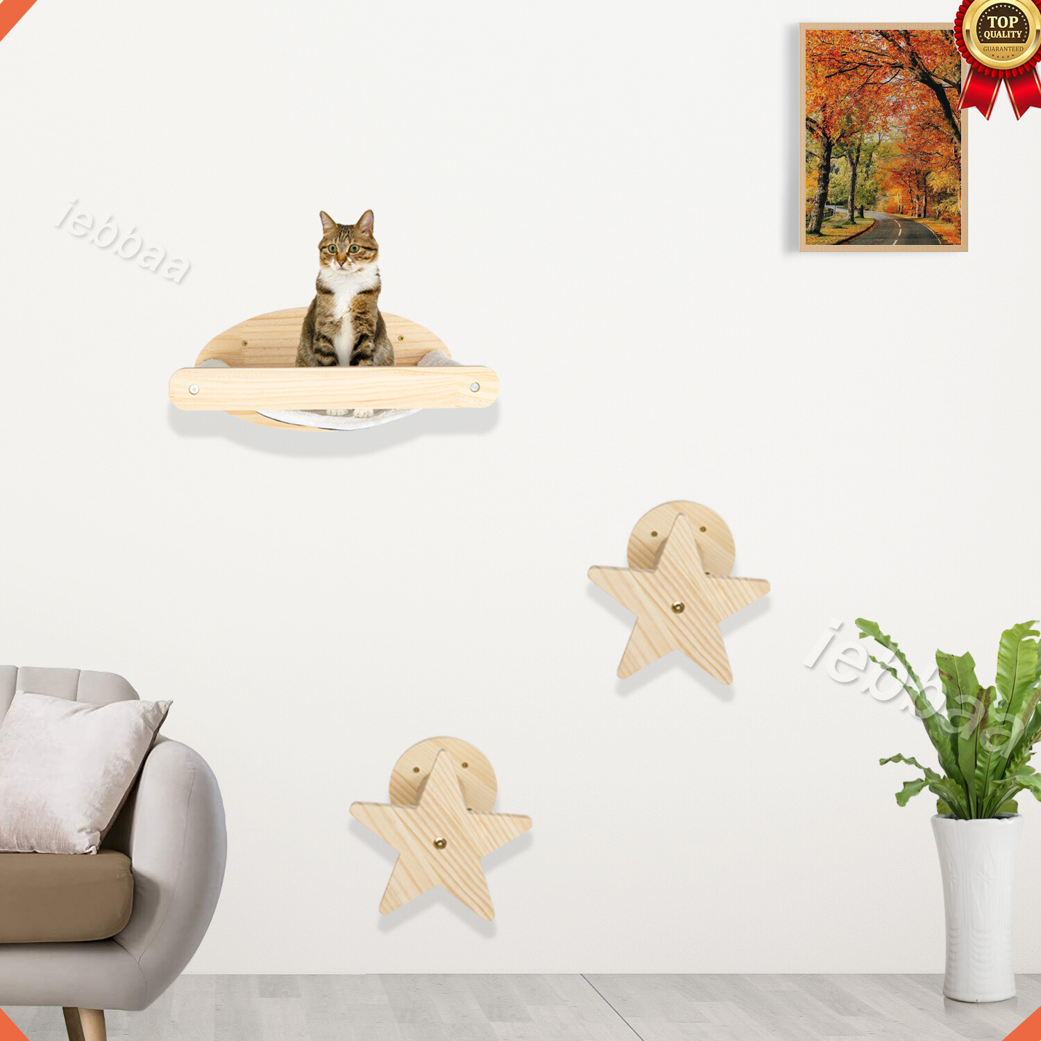 cat play climbing frame