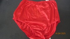 VINTAGE NYLON  KNICKERS SIZE W 22-36 INCH              S 25