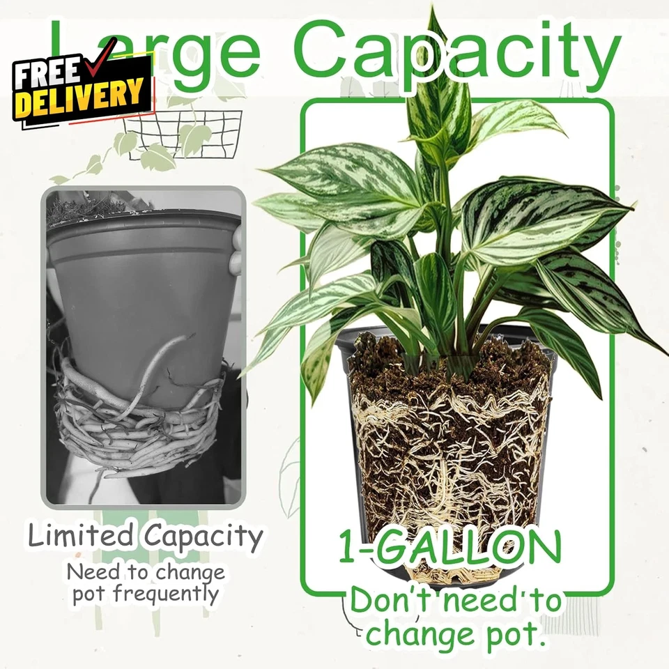 Paquete de 60 macetas flexibles de plástico negro para plantas de 1 galón con agujeros Foto 4 de 4