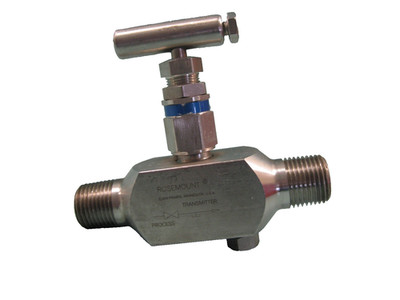 Rosemount C306111125-0000 Needle Valve B20