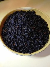 Elderberries Sambucus nigra Whole, Organically Cultivated 1 oz