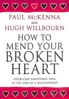 How To Mend Your Broken Heart by Willbourn, Hugh 0593050533 FREE Shipping