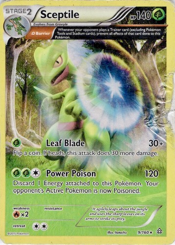 DAMAGED Sceptile 9/160 Holo Rare Primal Clash Pokemon