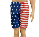 2016 Mattel Barbie Fashionista blonde Ken Doll in beach patriotic flag swimsuit — photo 5