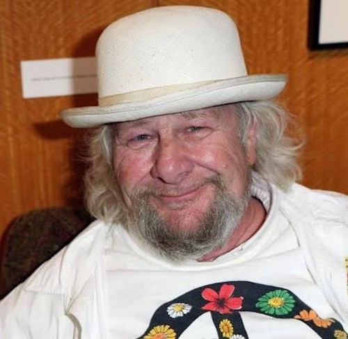 Gathering of The Vibes 2005 - Wavy Gravy Signed - All Access Artist Pass - Picture 3 of 3