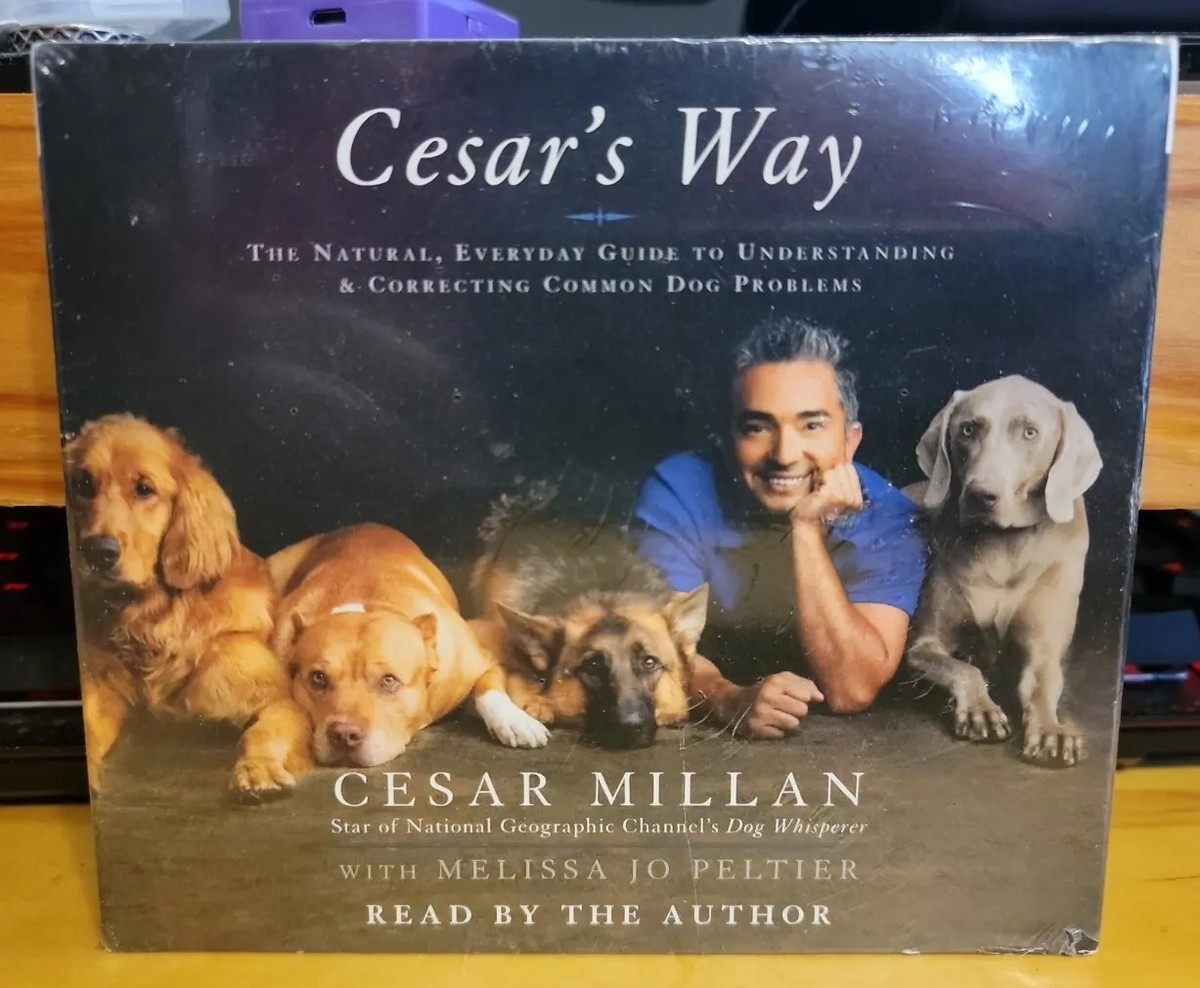 Dog Trainer Cesar Millan Golden Retriever Cesar's Way: The Natural