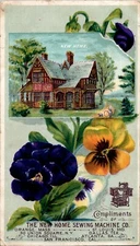 1880 Trade Card New Home Sewing Machine Co. New Home Beautiful Petunias A39