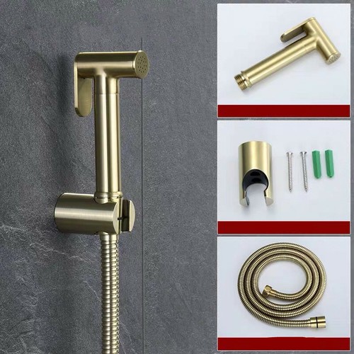 Moderner ABS Hand Bidet Düsen Dual Purpose Drucks püler mit einem Einlass und zw