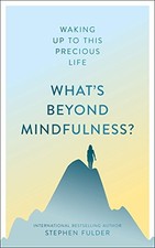 WHAT'S BEYOND MINDFULNESS: WAKING UP TO THIS PRECIOUS LIFE By Stephen Fulder VG+