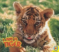 I am a Tiger