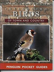Introduced Birds of Town  Cou von Penguin Books Ltd | Buch | Zustand gut